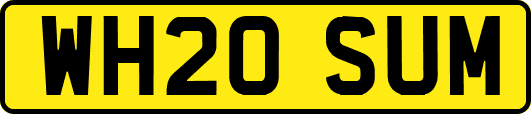 WH20SUM