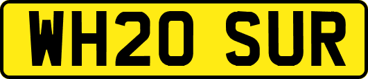 WH20SUR