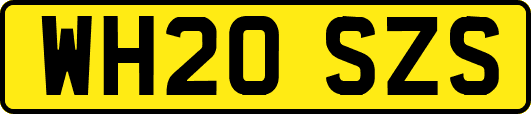 WH20SZS