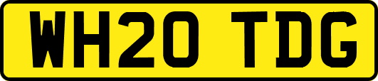 WH20TDG