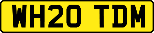 WH20TDM