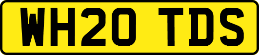 WH20TDS