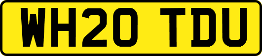 WH20TDU