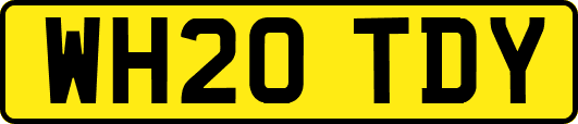 WH20TDY
