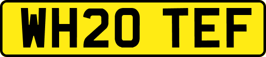 WH20TEF