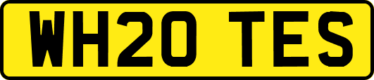 WH20TES