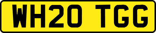 WH20TGG