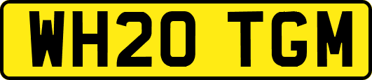 WH20TGM