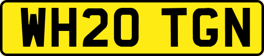 WH20TGN
