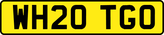 WH20TGO