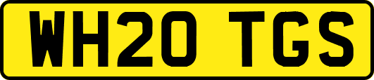 WH20TGS