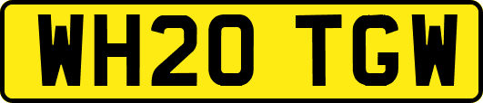 WH20TGW