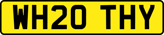 WH20THY