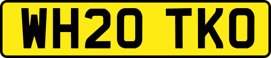 WH20TKO