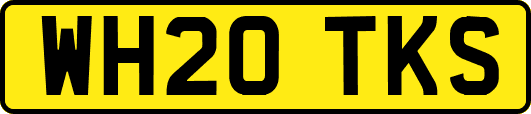 WH20TKS