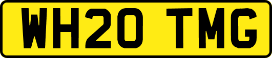 WH20TMG