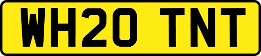 WH20TNT