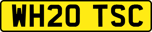 WH20TSC