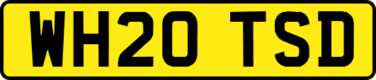 WH20TSD