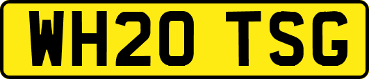 WH20TSG