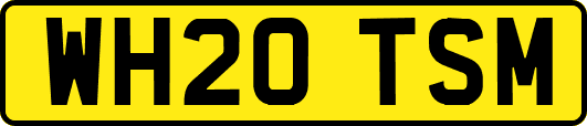 WH20TSM
