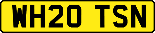 WH20TSN
