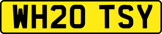 WH20TSY