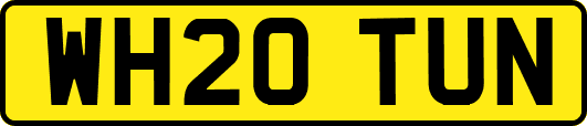 WH20TUN