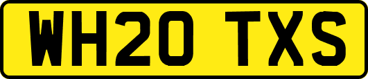WH20TXS