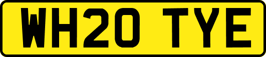 WH20TYE