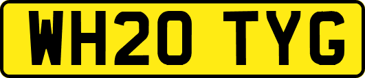 WH20TYG