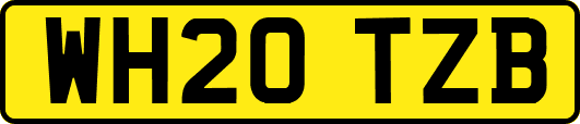 WH20TZB