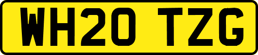 WH20TZG