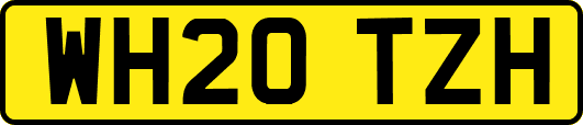 WH20TZH