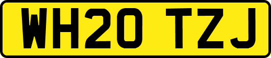 WH20TZJ