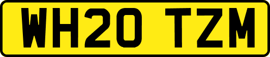 WH20TZM