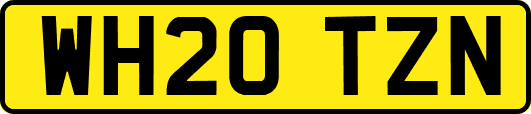 WH20TZN