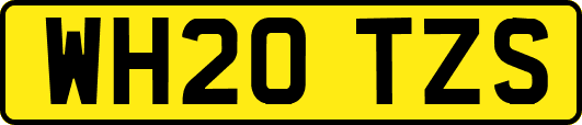 WH20TZS
