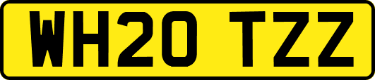 WH20TZZ