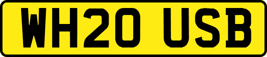 WH20USB