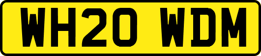 WH20WDM