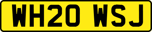 WH20WSJ