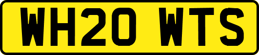 WH20WTS