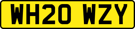 WH20WZY