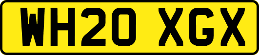 WH20XGX