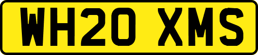 WH20XMS
