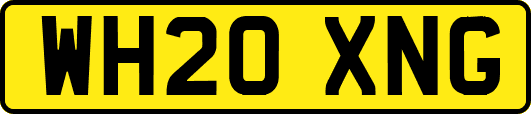 WH20XNG
