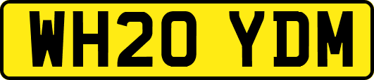 WH20YDM