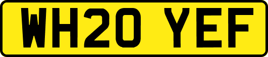 WH20YEF