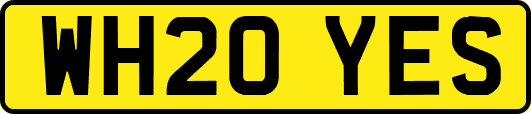 WH20YES